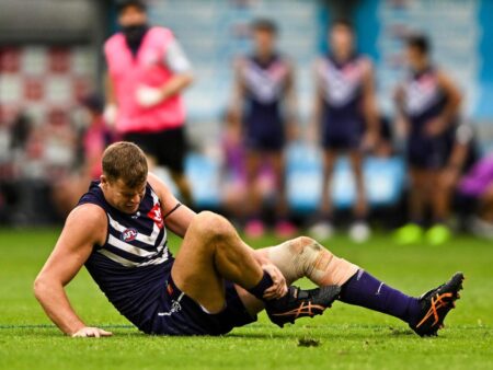 Afl Rd 2 Fremantle V St Kilda