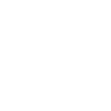 Icon Orthotics